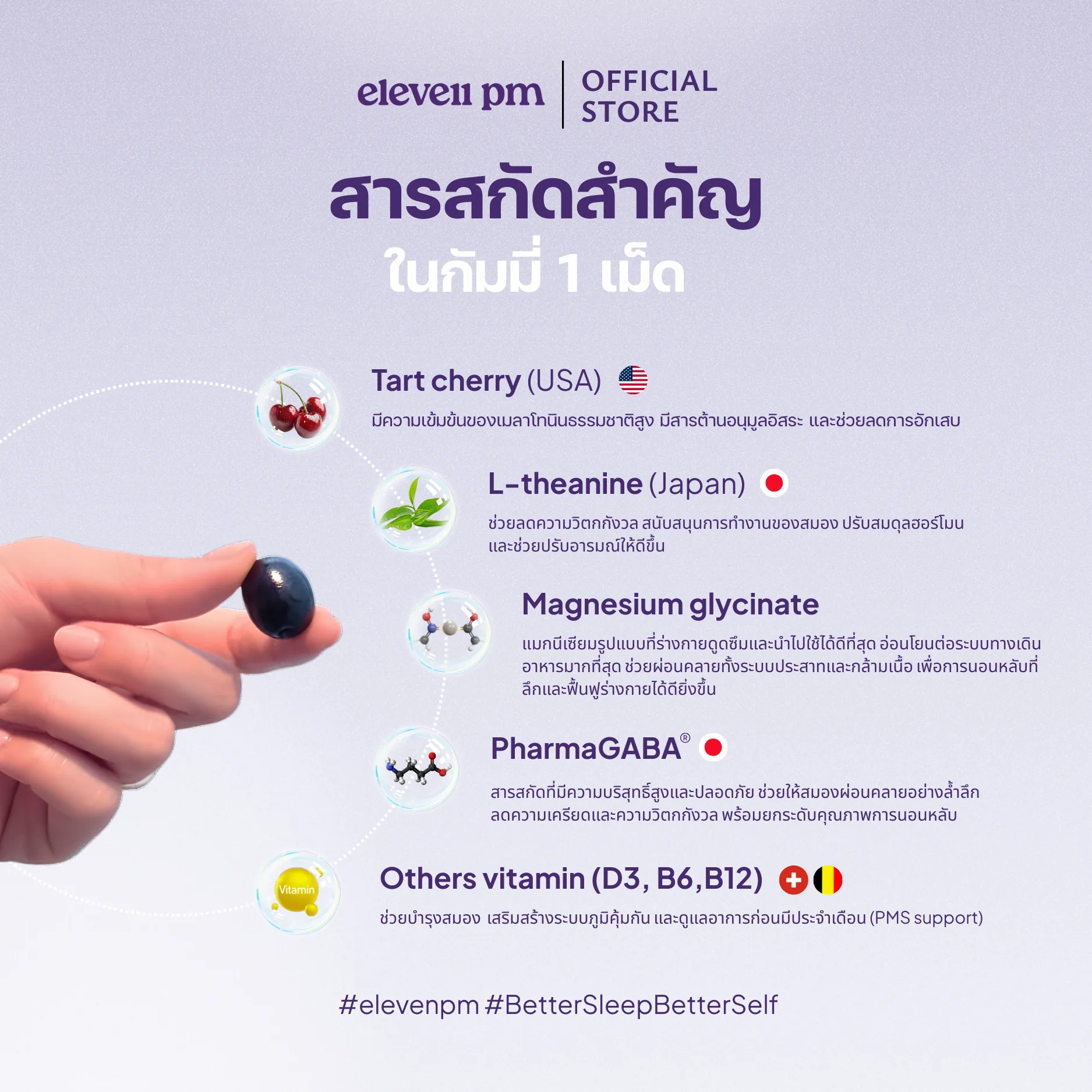 eleven pm sleep gummy key ingredients: Tart Cherry (USA), L-Theanine (Japan), Magnesium Glycinate, PharmaGABA — natural sleep supplement